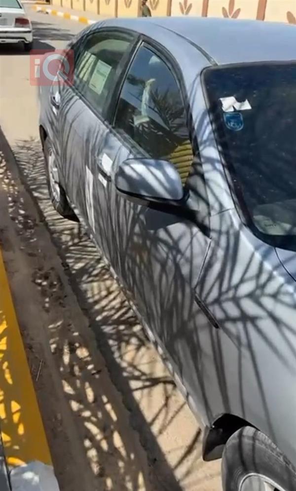 شيفروليه   للبيع في العراق